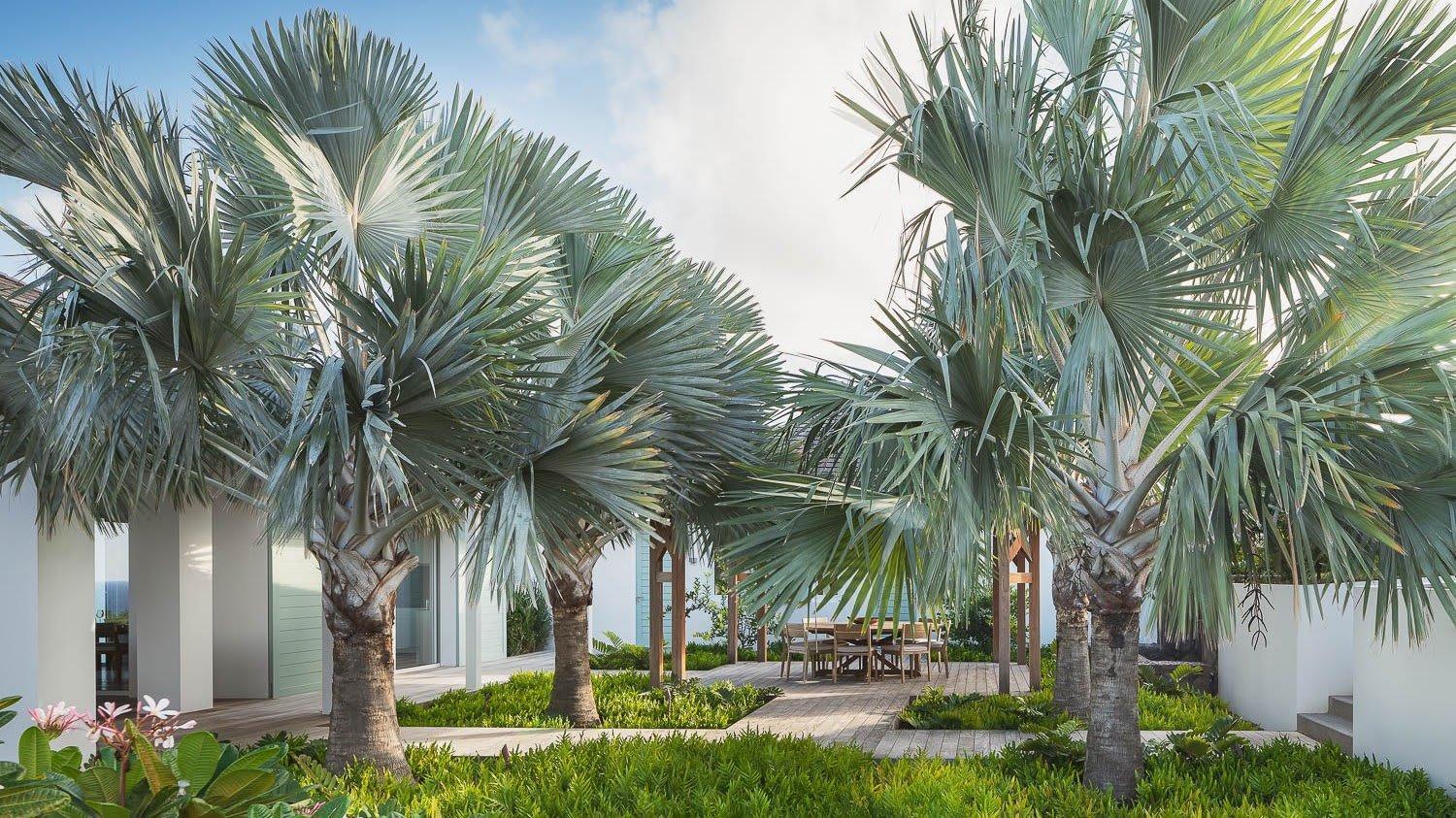 Ideally Located Prestigious Villa Toiny Exterior photo
